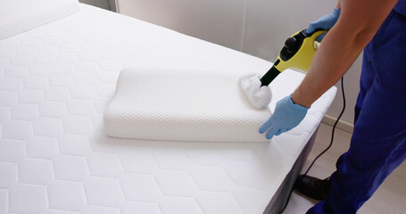 Bed Bug Pillow Pest Control Cleaning