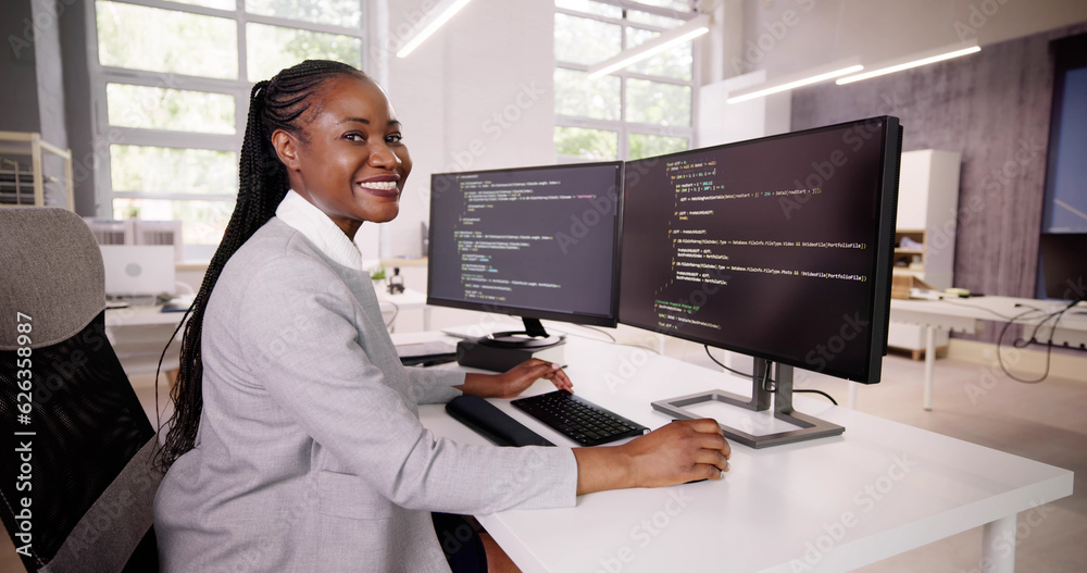 Poster Programmer Coding Classes. Web Developer Coder