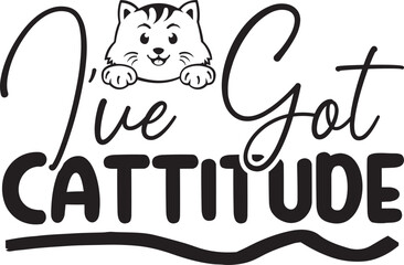 I have got c attitude 