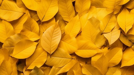 Background from autumn fallen leaves close-up. The texture of the yellow foliage, generative AI