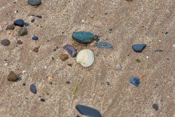 Fototapeta na wymiar shells on the beach in Llandudno