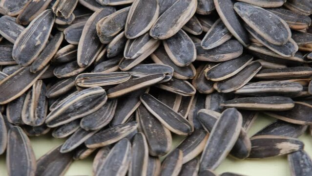 sunflower seeds close up