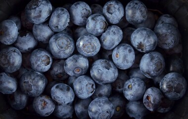 Blueberry background close up, top view