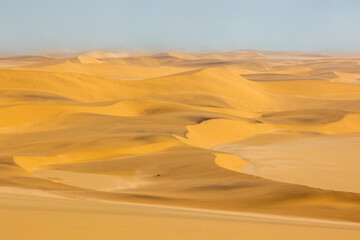 Fototapeta na wymiar Red sand dunes with fog on horizon, Skeleton Coast, Namibia