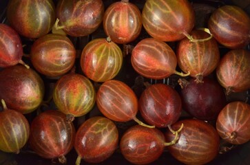 Gooseberries, closeup in a black plastic container