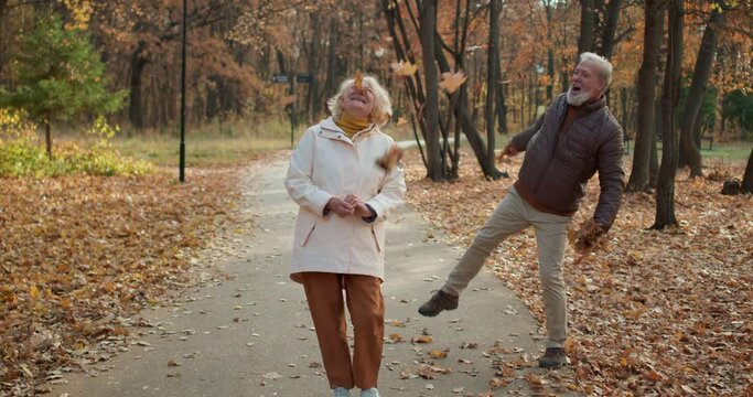 Happy elderly caucasian man throw up autumn fallen leaves on his old beautiful wife lovely people rejoice sunny autumn day rest at weekend. Family is hugging, have fun Happiness of retirement