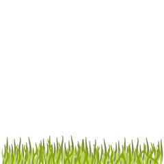 Aquarium Plant Illustration