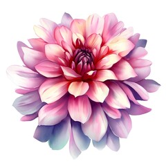 Obraz premium watercolor dahlia flower. Illustration isolated on white background for design,print or background Generative AI