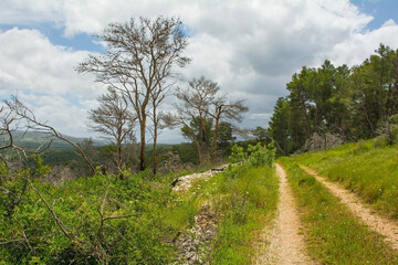 Fototapeta na wymiar The rural landscape near Milna on Brac Island in Croatia in May