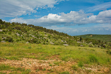 Fototapeta na wymiar The rural landscape near Dracevica on Brac Island in Croatia in May. The island's characteristic stone mounds and walls can be seen