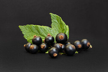 Black currants berry on a black background