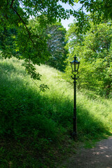 Street vintage lantern in green summer forest.