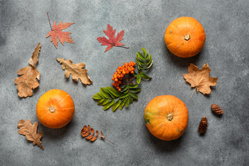 Composition with fresh pumpkins and dry autumn leaves, gray concrete background. Top view, flat lay.