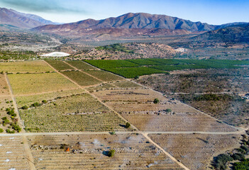 Aerial view of citriculture in Petorca in Chile, South America - plantation of citrus fruits