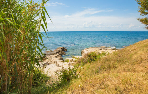 Savudrija, Adriatic sea, Adriatic sea coast, Beautiful sea landscape in summer. An idyllic holiday destination for the whole family.