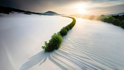 Experience nature's serene beauty in this captivating stock photo. Discover a row of lush green plants against a backdrop of white sand, basking in the radiant sunlight, with majestic mountain ranges