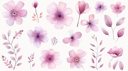  a bunch of flowers that are on a white background with a pink background.  generative ai