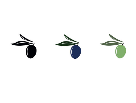 Olive tree branch. Olive Branch with Berries Black Icon. Olive branch black and white realistic vector outline.  Olive oil label or logo for farm store or market. Olive branch with leaves and olives. 