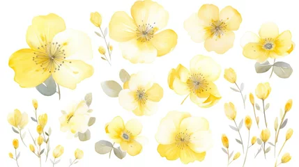 Keuken spatwand met foto  a bunch of yellow flowers with leaves on a white background.  generative ai © Shanti