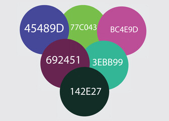 Abstract watercolor on white and black background. The color splashes on the paper. It is hand-drawn.