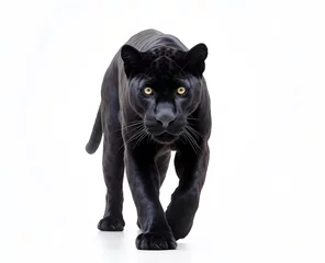 Poster Im Rahmen Black panther on white background © HY