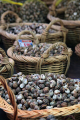 Close-up of snails on sale, in different baskets
