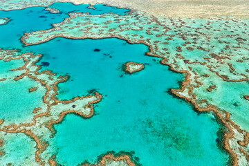 Fototapeta na wymiar Heart Reef. Hardy reef. Great Barrier Reef. Queensland. Australia