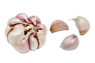 Fresh Garlic and three cloves  closeup isolated on white background. With clipping path