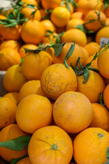 Fresh ripe sicilian oranges citrus fruits on market close up