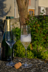 Tasting of premier cru sparkling white wine with bubbles champagne with view on old houses of Hautvillers, where lived Benedictine monk how developed champagne wine, France.