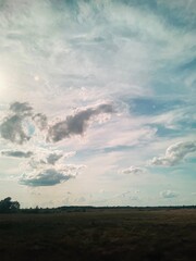 sunset over the field