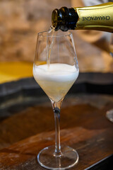 Tasting of grand cru sparkling white wine with bubbles champagne by old champagne caves in grand cru wine producer small village Cramant, Champagne, France