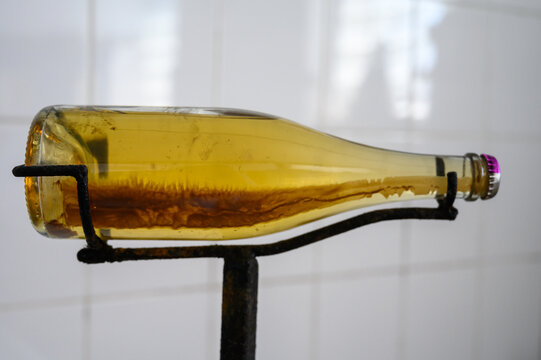 Sediment in bottle, traditional wa of making champagne sparkling wine from chardonnay and pinor noir grapes in grand cru village Oger, Champagne, France
