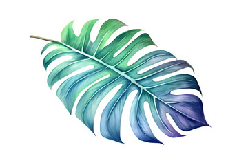 monstera leaf painted on a transparent background