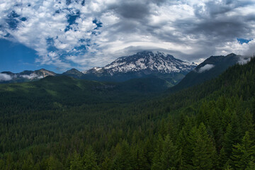 View from over the tree tops of Mt Rainier covered by grayish-white clouds.