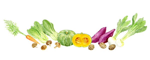 水彩で描いた秋の野菜のイラスト　横長デザイン  ベクター