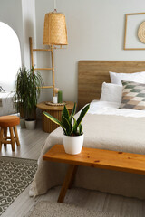Wooden bedside bench with houseplant in light bedroom