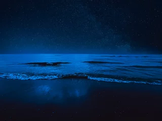 Fotobehang Fantasie landschap Sea waves rolling onto sandy beach under starry sky at night