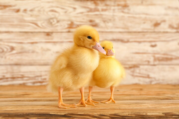 Cute ducklings on wooden table