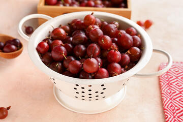 Colander with fresh gooseberries on pink background
