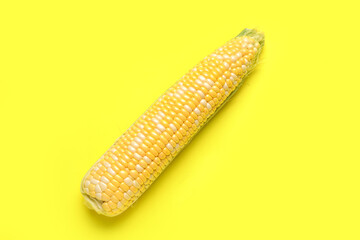 Fresh corn cob on yellow background