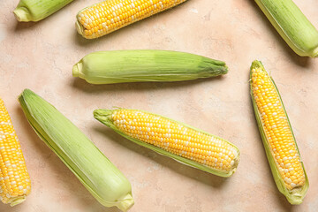 Fresh corn cobs on beige background