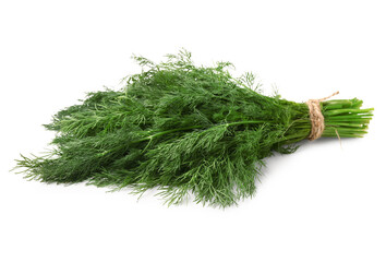 Bunch of fresh dill on white background