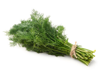 Bunch of fresh dill on white background