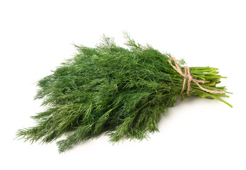 Bunch of fresh dill on white background