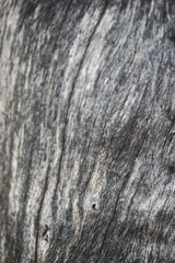 texture, wood, nature, pattern, material, wall