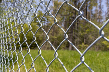 Fototapeta premium Metal fence - forest trees green grass blurred background. Taken in Toronto, Canada.