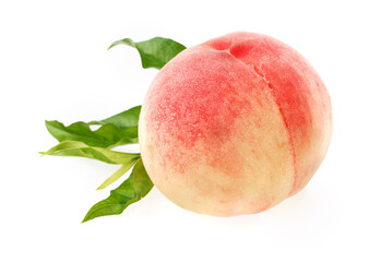 桃　　白鳳　スタジオ撮影