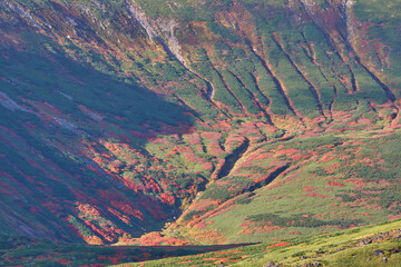 北海道　旭岳の紅葉と裾合平
