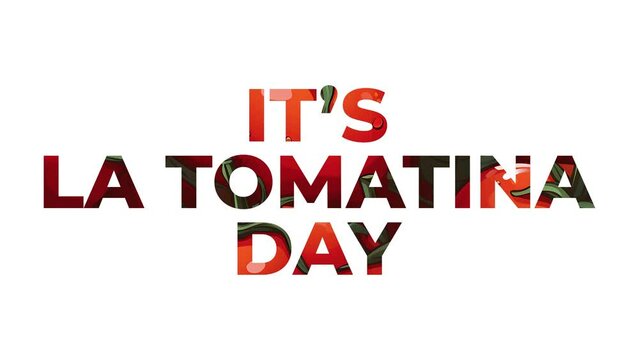 Its La Tomatina Day illustration text looping animation